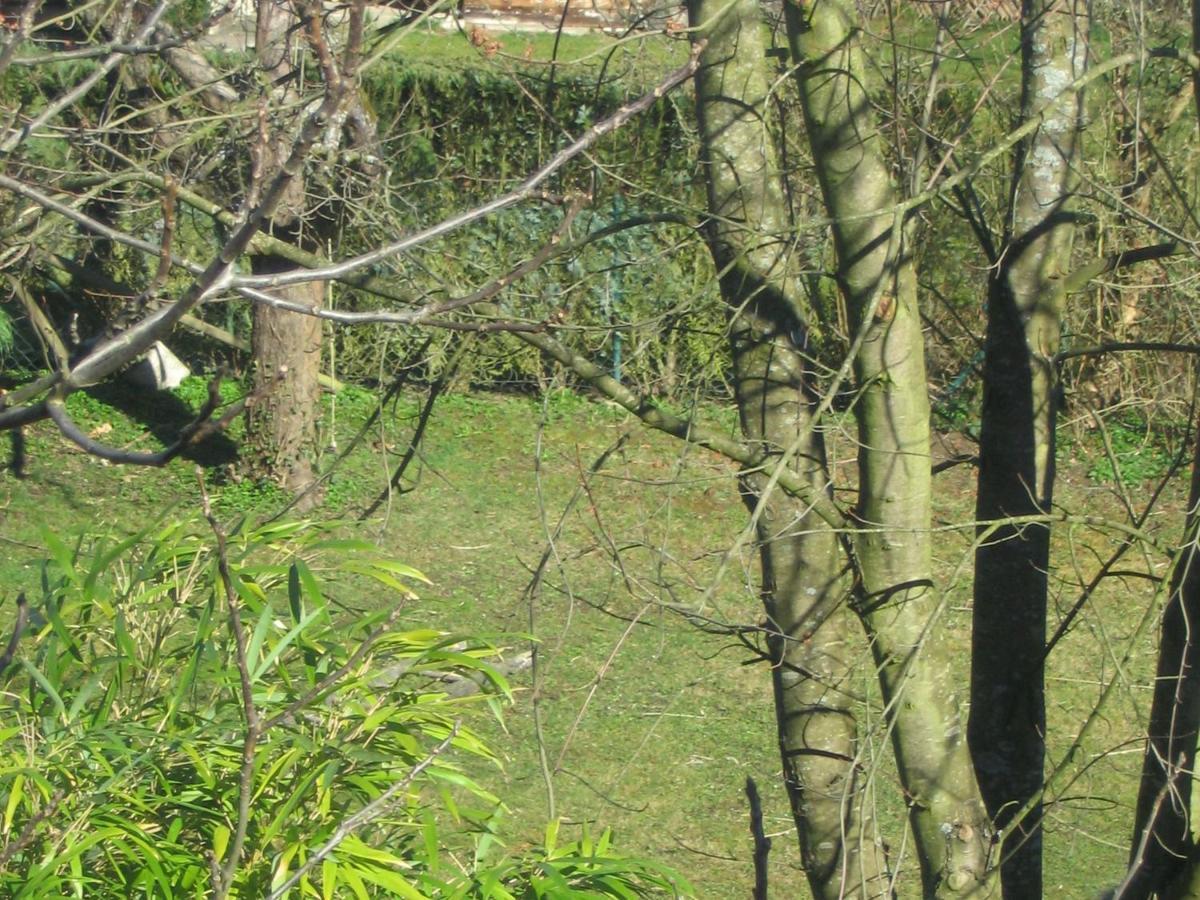 Haus Am Apfelbaum Apartman Bad Säckingen Kültér fotó